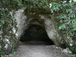 The upper exit of the Barac cave Stock Footage