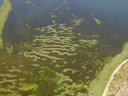 WS ZI AERIAL View of lagunes at mainland / Ionian Islands, Greece Stock Footage
