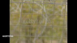 Beit Bridge border crossing between Zimbabwe and South Africa. News Clip