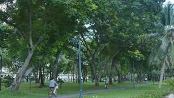 bike lens Stock Footage