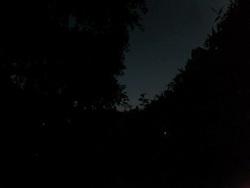 T/L darkness falling over river, revealing firefly trails, Japan Stock Footage