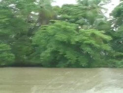 Sailing in Tortuguero - Costa Rica Stock Footage