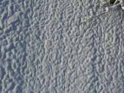 Aerial W/S, Atmospheric Forest in Winter Stock Footage