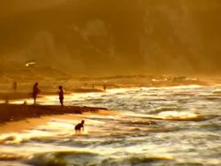 Beach 1080p Stock Footage
