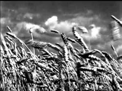 TRAILER: TOM JOHNSTON'S APPEAL News Clip