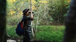 Wildlife Photographer taking picture of bird in the rainforest jungle Stock Footage