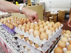 Fresh eggs in an open market Stock Footage