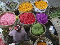 MS Vendor selling blossom for ceremony in market / Ubud, Bali, Indonesia Stock Footage