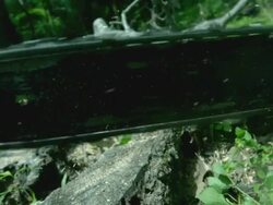 CU PAN SLO MO Shot of Man hand holding chain saw cutting log / Morristown, New Jersey, United States Stock Footage