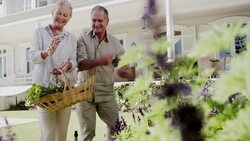 Portrait of happy senior couple with basket picking flowers in garden Stock Footage