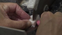 NSF Science Now: Episode 19 Instructional Video