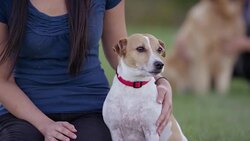 Learning How to Stay Stock Footage