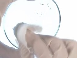 Vaccine Stock Footage