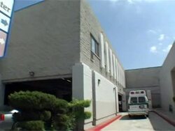 CLEAN: California declares swine flu emergency News Clip