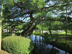 MS PAN View of Karasakinomatsu and Kasumigaike in Japanese garden Kenrokuen, Great Gardens of Japan / Kanazawa, Ishikawa, Japan Stock Footage