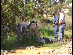 South Africa-Rising Crime Casts Shadow Over Xmas News Clip