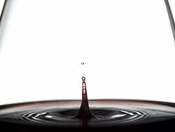 CU SLO MO Drop of red wine falling into glass against white background / Vieux Pont, Normandy, France Stock Footage