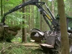 MS Loading machine at work in forest / Zerf, Rhineland Palatinate, Germany Stock Footage