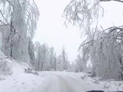 Devastation By The Roadside After An Ice Storm Stock Footage