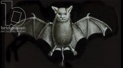 Animated 19th century magic lantern slide with bat flapping its wings Stock Footage