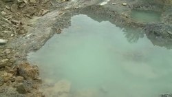 VOICED : Ancient turtles unearthed in Poland News Clip