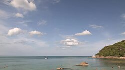 Palm beach and sea Stock Footage