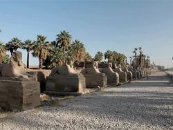 THE AVENUE OF SPHINXES Stock Footage