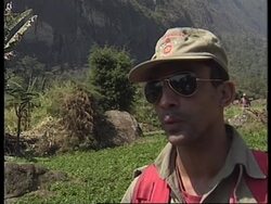 BRAZIL: FOREST FIRES News Clip