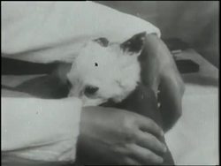 Scientists put a dog in an astronaut suit. News Clip