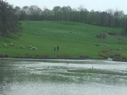 Spring. Pastoral. Stock Footage