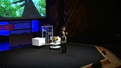 Nalini Nadkarni: Life science in prison Instructional Video