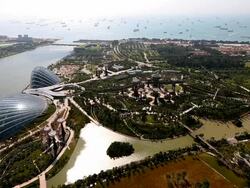 A Walk Through Singapore's Gardens By The Bay Stock Footage