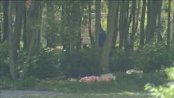 Migrants In Calais News Clip