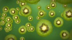 Kiwi slices float through a green liquid. Stock Footage