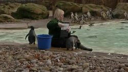 Zookeepers begin annual count of the animals in London Zoo Instructional Video