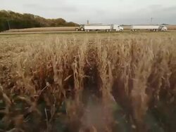 POV combine harvesting corn in a large field, comes to the end of the field, two large semi trailers loaded with corn are parked in the distance. Stock Footage