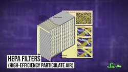 Does Air on Planes Make You Sick? Instructional Video