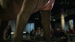 VOICED : DINOSAUR EXHIBITION News Clip