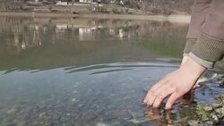 Releasing fish Stock Footage