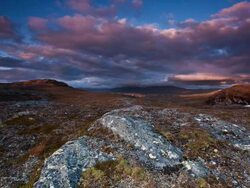 Sparse Landscape Stock Footage