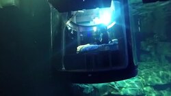 CLEAN : Contest winner sleeps with sharks at Paris Aquarium News Clip