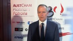 Australian opposition leader criticises PM over dual citizenship issue Instructional Video