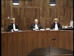 Verdict in the death of 58 Chinese immigrants case News Clip