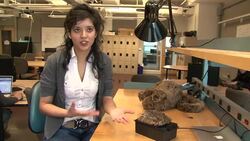 VOICED : Robotic creature could help those with News Clip
