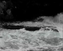 VIVE LE SPORT News Clip