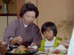 MS ZOOM OUT Senior woman and young boy eating/ Tokyo, Japan Stock Footage