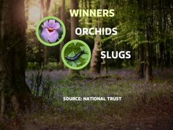 Wet weather has been bad news for UK Wildlife News Clip