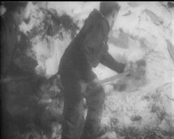 AVALANCHE STORY News Clip