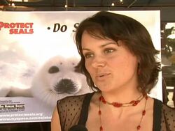 Celebrity Save The Seal Day: Press Conference Hosted by Celebrities Against The Seal Hunt Stock Footage