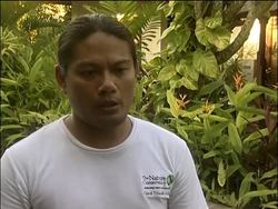 Coral reefs under threat from climate change News Clip